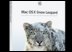 Apple  Mac OS X 10.6.1