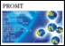 PROMT Mobile 7.0 -  ,   