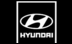 Hyundai Motor   Jaguar