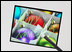 Sony     multi-touch-