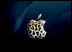 Apple  OS X Leopard  iPhone