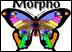 Nokia     Morpho