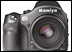 33-� � 56-�� ������ �� Mamiya