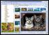 FastStone Image Viewer 3.0: ���������� ������