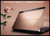 Fujitsu LifeBook P8010 Pink Gold Edition: ������������ �������