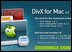 DivX 6.50 ������ � ��� Mac
