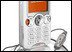 Sony Ericsson W810 � �����
