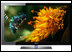 ����� HDTV �� Samsung � ���������� �������������� 7���:1