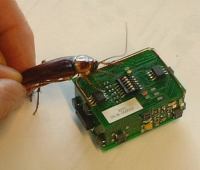 cockroach-robot-eth-insbot.jpg
