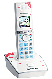 Телефон Panasonic DECT KX-TG8051RU1