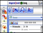 Bigmir)net ��������� ����� ICQ